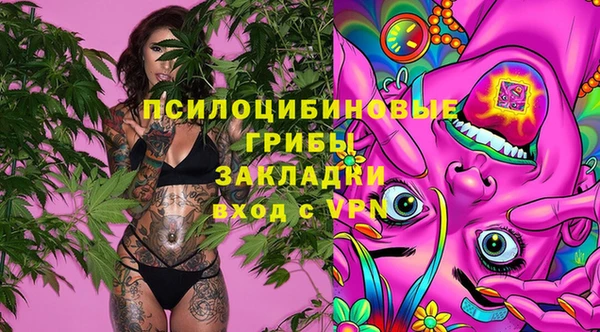 винт Алексин