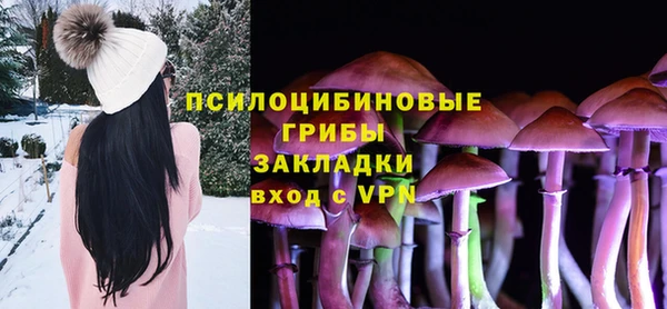 Альфа ПВП Алзамай